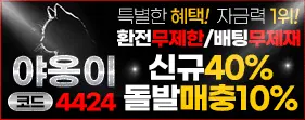 야옹이 이벤트