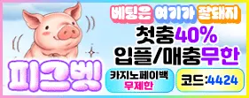 피그벳 안전공원